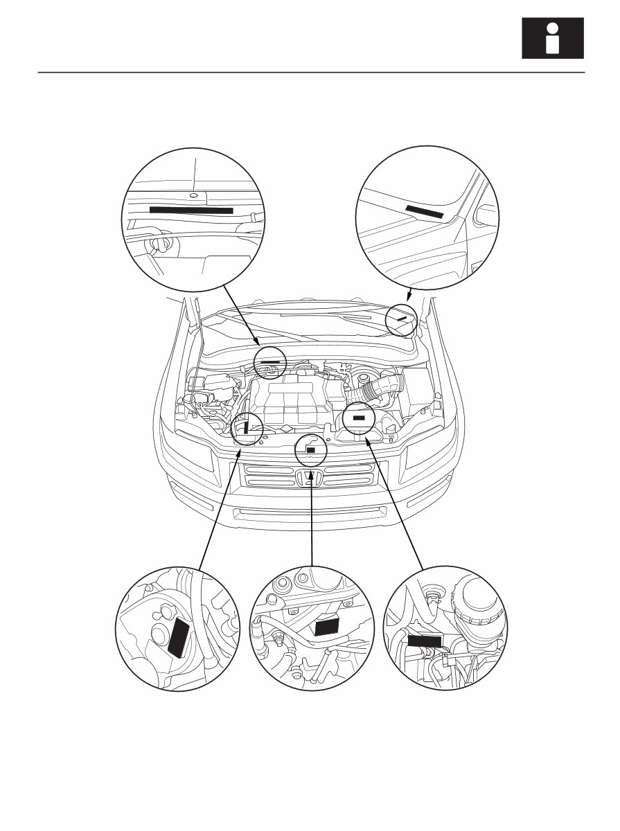 2006 Honda Ridgeline Service & Repair Manual Software