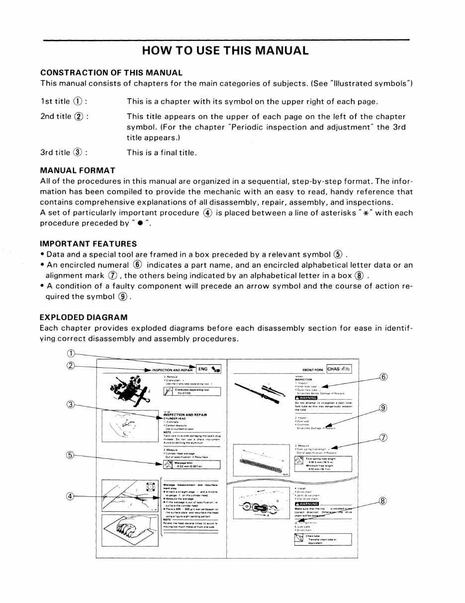 Yamaha Raptor 80 Wiring Diagram - Wiring Diagram