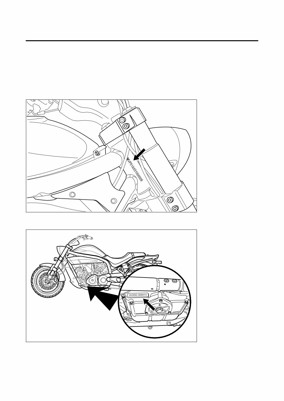 Hyosung GV 650 carburetor Service Manual Manuals Online