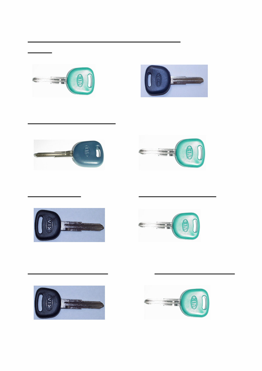 KIA Texton Immobiliser Key Teaching Guide Manual