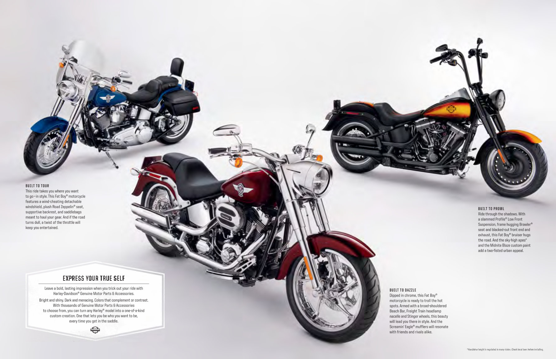 2015 HARLEY DAVIDSON MOTOR Parts & ACCESSORIES Manual