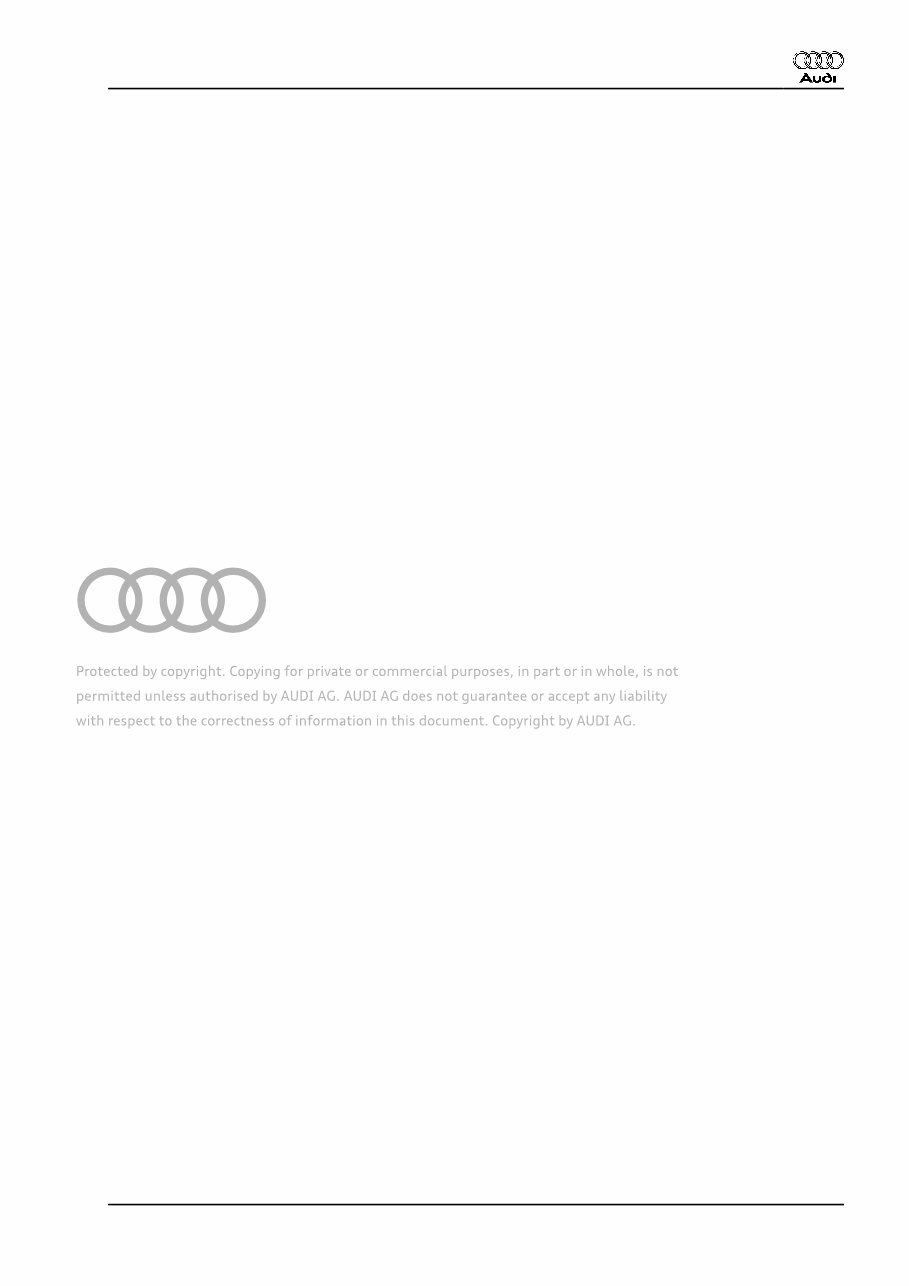 2017 Audi RS6 Avant Service & Repair Manual Manuals Online