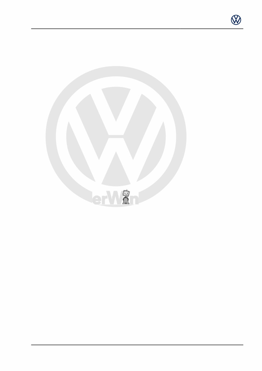 2022 Volkswagen Vw Polo Manuals Online