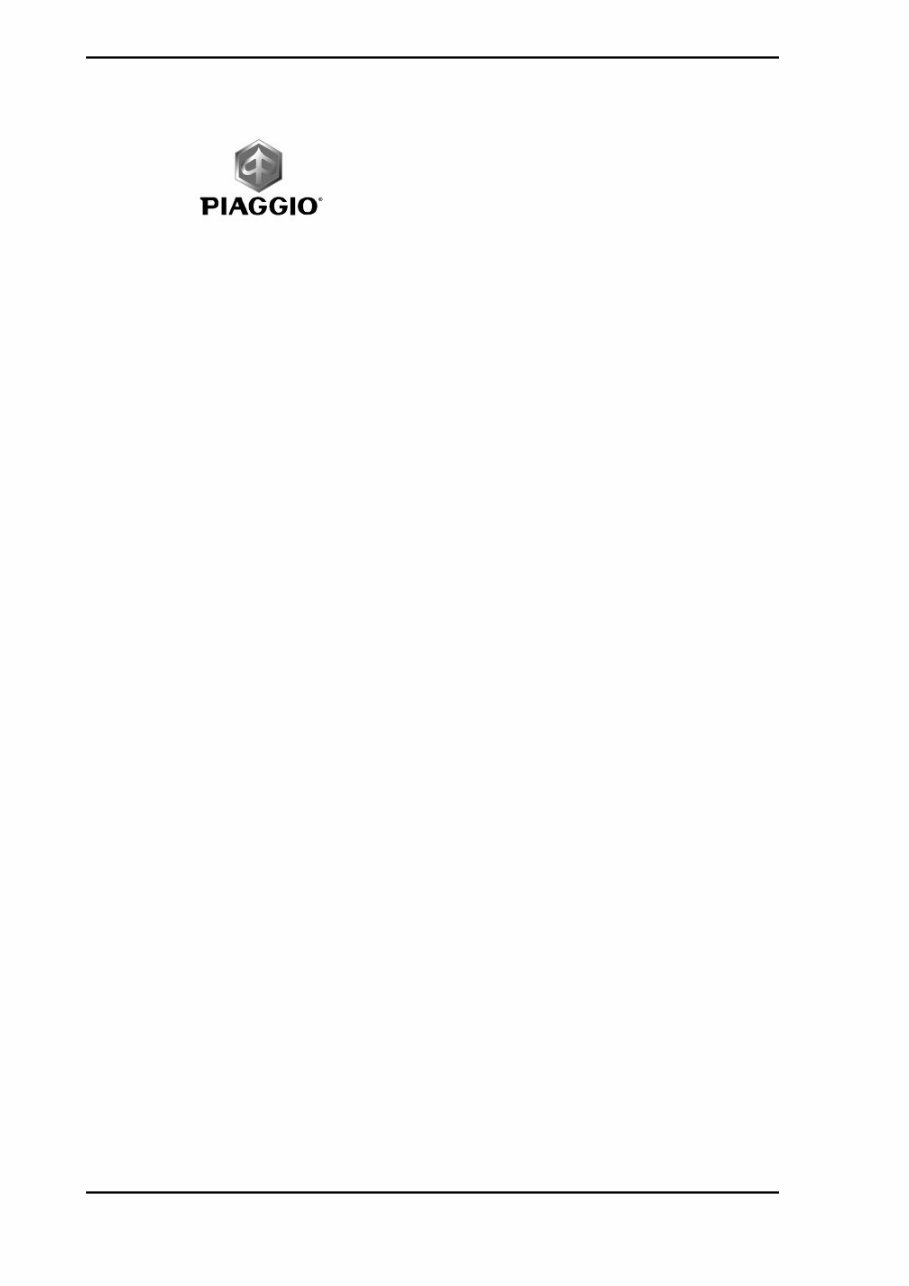 Piaggio Carnaby Cruiser 300 ie Full Service & Repair Manual preview img 2