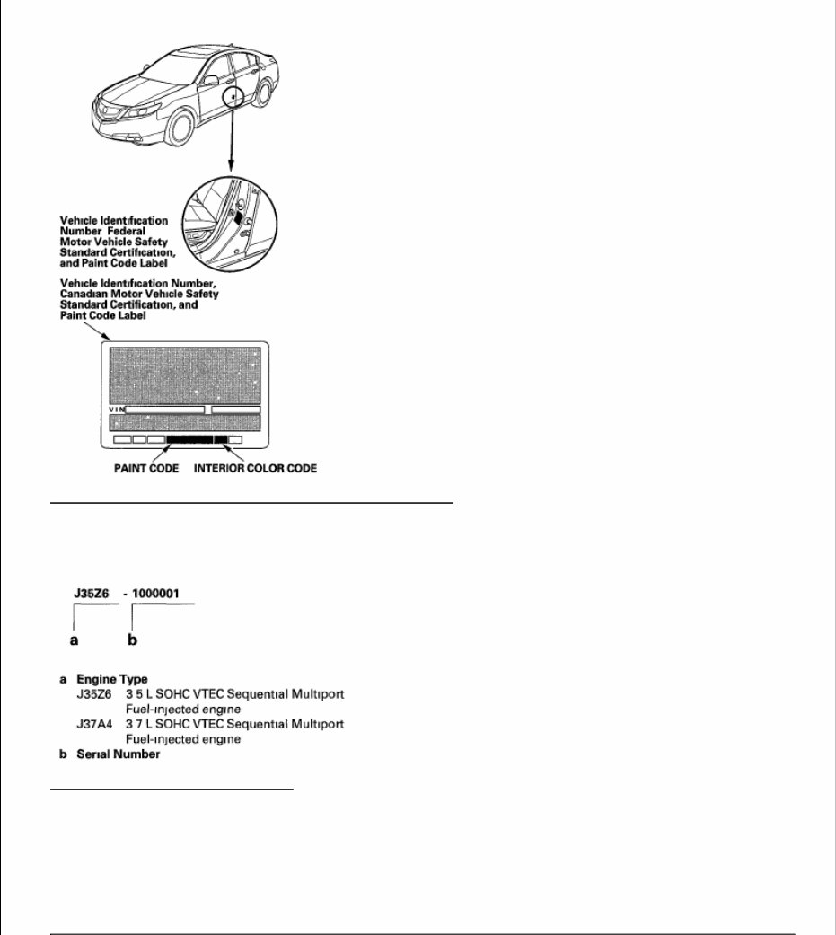 2010 Acura TL Service & Repair Manual Software